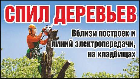 ИП Мицкевич В.В.