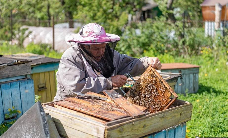 Медом намазано: необычная история 93-летнего пчеловода из Гродно Медом намазано: необычная история 93-летнего пчеловода из Гродно