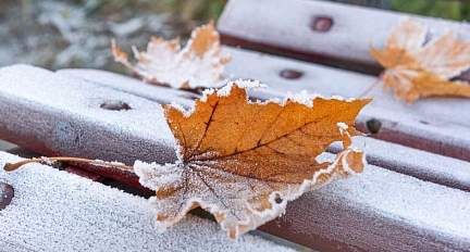 Во многих районах осадки. Какой будет погода в Беларуси 25 ноября