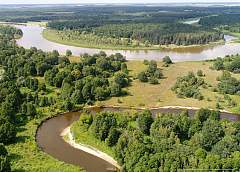 The project "Grodno region: reserved world" in Lipichanskaya Pushcha: colonies of storks, dormouse mouse and pines on the dunes