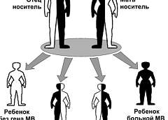 Что такое муковисцидоз? Заболевание в вопросах и ответах
