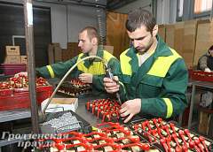 Гродненский «Цветлит» освоил 26 новых видов продукции