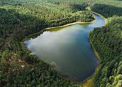 Red kite and monks fishing. Grodno Pushcha in the new project "GP"