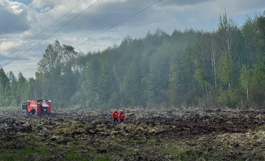 Вчера система мониторинга зафиксировала возгорание в лесном массиве Щучинского лесхоза Вчера система мониторинга зафиксировала возгорание в лесном массиве Щучинского лесхоза