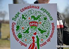 Парк семейных деревьев появился в Скиделе