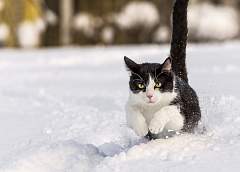  До -18°C ожидается на этой неделе в Беларуси
