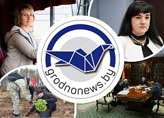Возрождение леса на Гродненщине и шоферские будни блондинки за рулем белого МАЗа. Главное за 27 октября