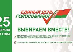Единый день голосования: памятка для избирателя