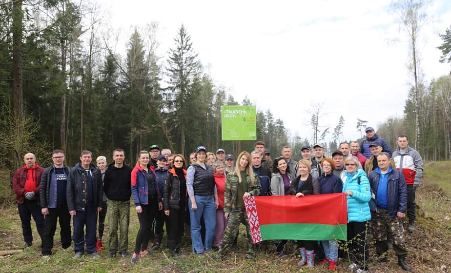 Около 2 000 елей высадил коллектив Гродненского облисполкома в Индурском лесничестве 