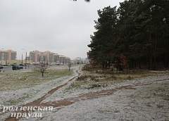 Новая дорога превратит лес на Вишневце в парк?