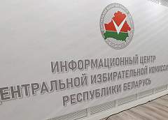 ЦИК сообщил, когда будут прямые включения в день выборов
