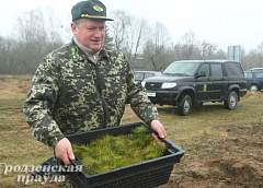 Видеокамеры в лесу и деревья в горшках