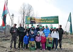 Акция «Дай лесу новае жыццё!» стартовала на Гродненщине