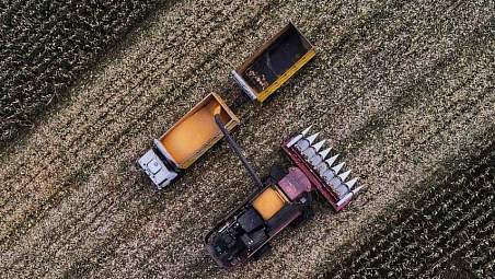 В Гродненской области намолочено 2 млн тонн зерновых с учетом рапса и кукурузы