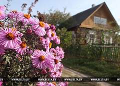 В Беларуси похолодает к середине недели