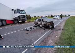 Годовалый ребенок погиб в аварии в Вороновском районе