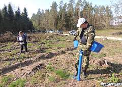  В Гродненском районе сегодня садили лес вблизи деревни Стриевка