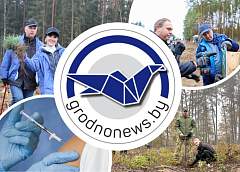 Высадка лесов на Гродненщине и вакцинация против гриппа. Главное за 26 октября