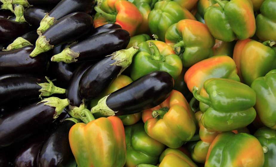 Там, где растут баклажаны и перцы. На Гродненской овощной фабрике урожай снимают почти круглый год