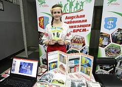 Эко-игрушки, оригинальные велопарковки и теплый улей. В Гродно выбрали восемь лучших молодежных идей (+ВИДЕО)
