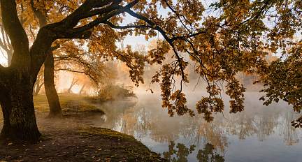 Оранжевый уровень опасности объявлен в Беларуси 11 ноября из-за тумана