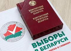 С 10 января избиратели могут проверить себя в списках для голосования по месту проживания
