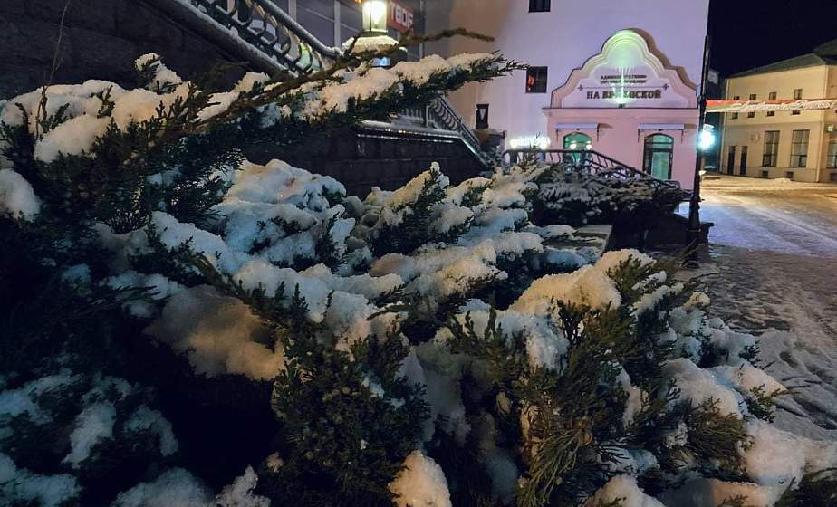 ФОТОФАКТ: Мартовский снегопад и заморозки в Гродно ФОТОФАКТ: Мартовский снегопад и заморозки в Гродно