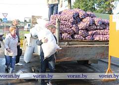 Щедрая осень. Сезон ярмарок в разгаре
