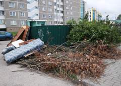Откуда растут ноги у мусора, выброшенного в неположенном месте?