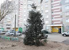 Не проходите мимо. Рабочие ушли, а двор в беспорядке