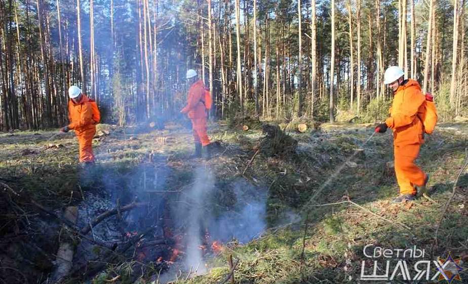 В Трилесинском лесничестве потушили пожар В Трилесинском лесничестве потушили пожар