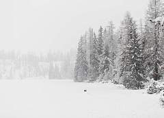 Небольшой снег и до -13°С прогнозируется в Беларуси 15 февраля