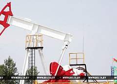 В Беларуси в 2017 году планируют добыть максимальный за 20 лет объем нефти из новых скважин
