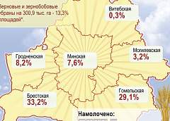 Инфографика: Первый миллион тонн зерна намолочен в Беларуси