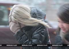 Оранжевый уровень опасности объявлен в Беларуси 27 декабря из-за сильного ветра