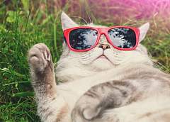 До +30°C! Прогнозом на неделю поделился Дмитрий Рябов