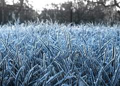 В Гродно мокрый снег, в Кореличах – до -6°С. В регион идут морозы
