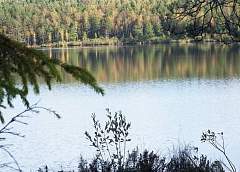 Healing sphagnum, crystal water and a memorial monastery