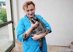 Пернатые и хвостатые: Как поживают новые обитатели Гродненского зоопарка 