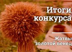 Поздравляем победителей фотоконкурса!