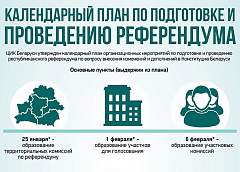 Календарный план по подготовке и проведению референдума (инфографика)