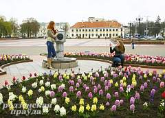 Миллион цветов высадят в Гродно к фестивалю национальных культур