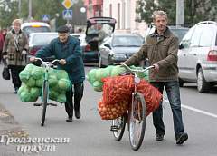 Куда в Гродно можно сдать картофель и овощи?