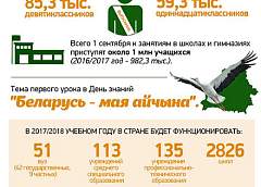 Инфографика: Учебный год 2017/2018
