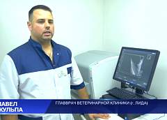 Лидский ветеринар решился на протезирование конечности у собаки (+видео)