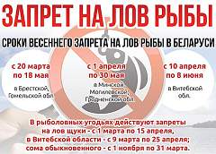 Инфографика: Запрет на лов рыбы