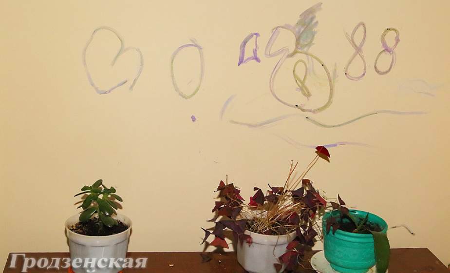 Социальное жилье в Гродно: выбитые стекла, сорванные подоконники, горы мусора Социальное жилье в Гродно: выбитые стекла, сорванные подоконники, горы мусора