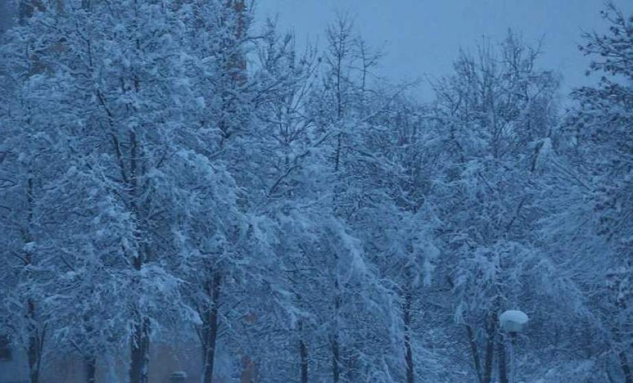  В связи со сложными погодными условиями. В польском пункте пропуска "Бобровники" полностью остановлено оформление 