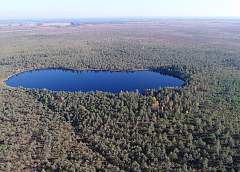 The black stork, cranberry crops and a unique raised bog. Reserve "Dokudovsky": an oasis among peat bogs