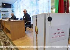 Явка избирателей за два дня досрочного голосования составила 11,51%